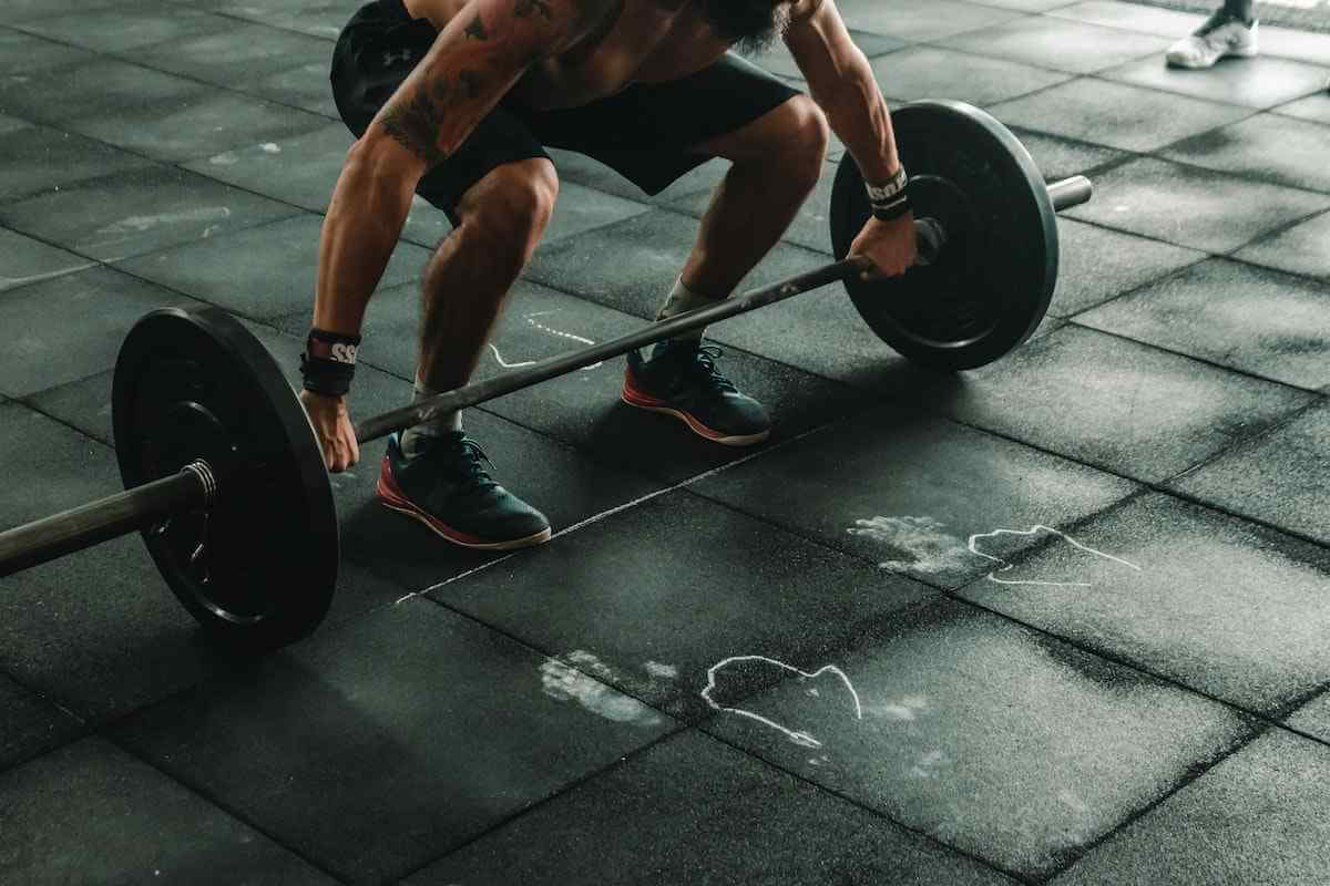 best bumper plates for home gym