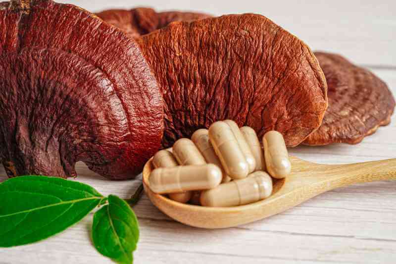 reishi mushroom and reishi capsules on a wooden spoon