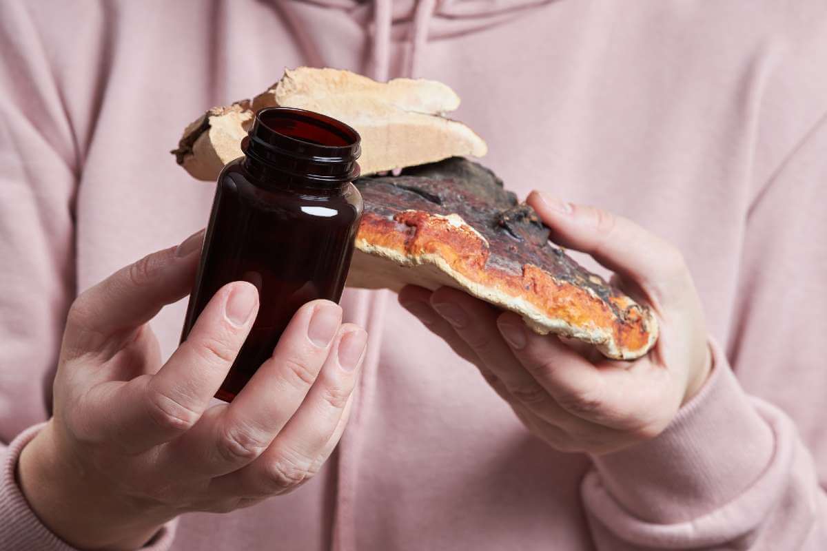 reishi mushroom benefits